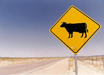 有玩家从Epic免费领取超200款游戏 你领了多少游戏？